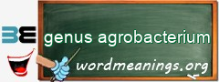 WordMeaning blackboard for genus agrobacterium